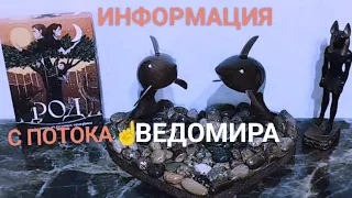 🔥🔥🔥ДЛЯ ЧЕГО МЫ ВСТРЕТИЛИСЬ☝ПОЧЕМУ ТАК ТЯНЕТ К НЕМУ🤔ЧТО БУДЕТ ДАЛЬШЕ☝СОВЕТ ТАРО КАРМА🕊#вераwedomira