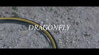 Dragonfly - Nahko Bear And Medicine For The People (Sub Español)