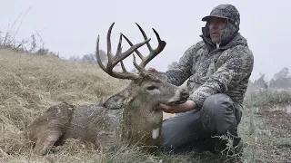 Two Whitetail Bucks SOLO Filmed with New Prime Revex 2023 Bow