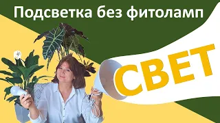 Свет для растений. Светодиодная лампа для подсветки цветов - что учесть. DIY светильника