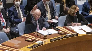 Ukraine-Krieg: Russland entgeht UN-Resolution durch Veto