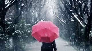 Rhythm Of The Rain ~ Dan Fogelberg