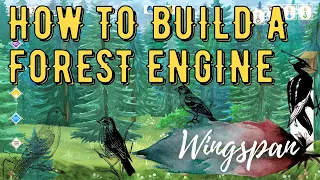 Wingspan Strategy | How to build a forest engine (ft. my opponent)