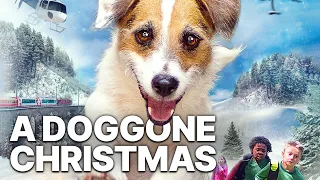 A Doggone Christmas | Free Christmas Movie | Romance | Feature Film