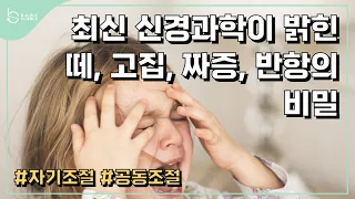 이걸 이해하면 신기하게 아이에게 화가 안 납니다.