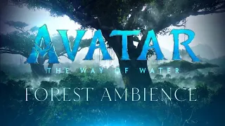 Avatar: The Way of Water | Forest | Ambient Soundscape