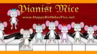 Мыши-пианисты исполняют на пианино песню с днем ​​рождения 🎹🎵🎂