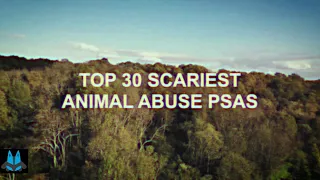 Top 30 Scariest Animal Abuse PSAs