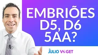 Qual é o melhor EMBRIÃO para ENGRAVIDAR?