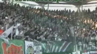 Rapid Wien Fangesänge Ultras