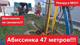 Абиссинка рекордсмен в МО - 47 метров! ДП Загородный.