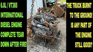 BURNT 6.0L / VT365 TEAR DOWN. A LOOK AT THE ENTIRE ENGINE AND HOW SOME OF IT WORKS.