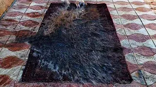 Basement coal Room rug is Black with dirt- satisfying videos