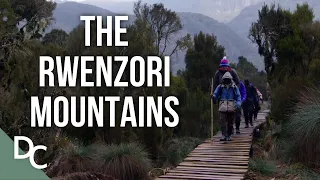 The Beautiful Lives Of The Rwenzori Mountains | Mountains And Life | Full HD | Documentary Central