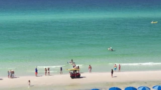 Shark nearly attacks girl in Destin, Fl