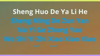 Wo Shi Yi Zhi Xiao Xiao Niao female karaoke