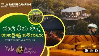Yala Safari Camping | යාල කැලයෙන් වටවුනු ඇස් අදහා ගත නොහැකි තරු 03 හෝටලය | Luxury Camping Experience