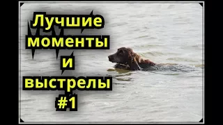 Лучшие моменты и выстрелы на охоте#1. Сезон 2017. Охота на утку.