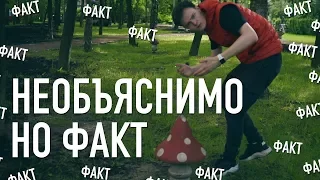 НЕОБЪЯСНИМО НО ФАКТ (ПАРОДИЯ)