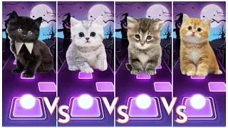 Cute Cats Wednesday Bloody Mary🆚 Lisa Money🆚 Jisoo Flower🆚 Blackpink Ddu-Du Ddu-Du 💥Goes Tiles Hop💥