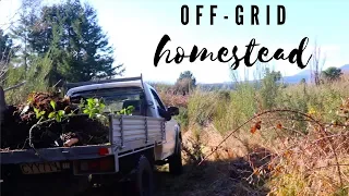 A Day in the Offgrid Life NZ