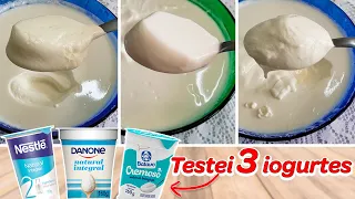 TESTEI 3 MARCAS DE IOGURTE PARA FAZER IOGURTE NATURAL CASEIRO - TAMIRES MOTA