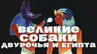 Рассказы кокер-спаниеля Фрейи о божественных и героических собаках Древнего Двуречья и Египта