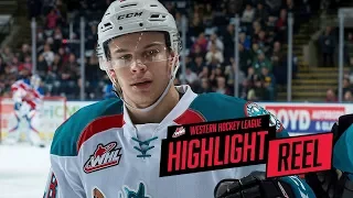 2017-18 HIGHLIGHT REEL | Carsen Twarynski