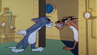 Tom and Jerry   Cat and Dupli Cat  Part 2 توم وجيري والقط دبلو