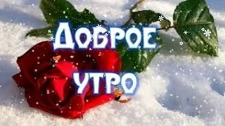 С добрым утром! Зимний приветик! Наслаждайтесь! Удачного дня!   #доброеутро #открыткадоброеутро