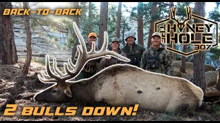 INSANE Rifle Bull Elk Hunt!! 2023 (2 BULLS DOWN | BACK-TO-BACK)