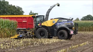 Jan Bevers mais hakselen 2023 (2) , New Holland FR 920