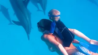 Baby and Mom Freedive with Dolphins