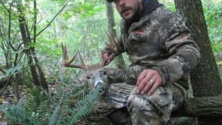 2023 buck Ohio public land- QFAPB Season 1 ep. 2 Tagged out??