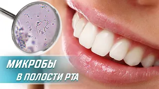 Слюна человека - Вы не поверите! Сколько бактерий живут во рту!