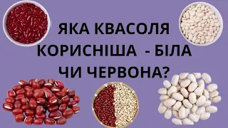 ЯКА КВАСОЛЯ КОРИСНІША  ДЛЯ ОРГАНІЗМУ - БІЛА ЧИ ЧЕРВОНА?