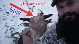 Как приготовить Голову Быка 🐂 ДЕЛИКАТЕС🔥☝👀