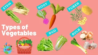 Types of Vegetables for kids | Root | Stem| Pod | Tuber | Bud | Bulb | Learn  Vegetables
