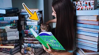 МОИ КНИЖНЫЕ ПОЛКИ💙 УБОРКА И ПЕРЕСТАНОВКА💥