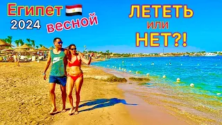 Египет ВЕСНОЙ 2024🇪🇬 Когда ЛУЧШИЕ ЦЕНЫ ⁉️Стоит ли ЛЕТЕТЬ на ОТДЫХ в Египте в марте, АПРЕЛЕ и мае?