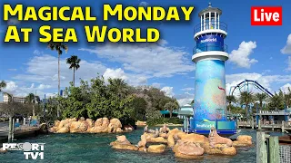 🔴Live: Magical Monday at Sea World - Walt Disney World Live Stream - 3-11-24
