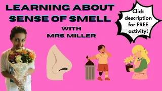 Sense of Smell : Lesson 8 - Kindergarten Science : Scientists Use Their Senses to Observe the World