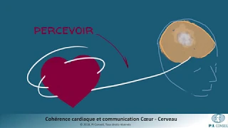 Cohérence cardiaque: la communication Coeur Cerveau