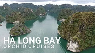 Ha Long Bay Orchid Cruises Vietnam
