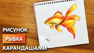 Как нарисовать золотую рыбку цветными карандашами | Рисунок поэтапно для детей