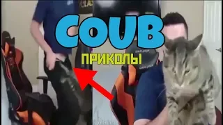 BEST COUB #84 | ЛУЧШИЕ ПРИКОЛЫ 2019