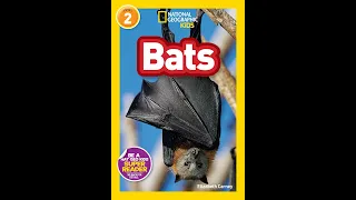 Bats, National Geographic Kids