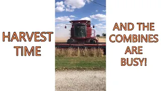 The Combines Are Coming - It's Harvest Time!