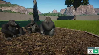 Planet Zoo Western Lowland Gorilla Gameplay