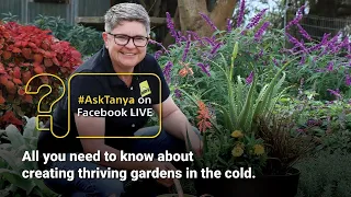 Garden Masterclass LIVE with Tanya Visser